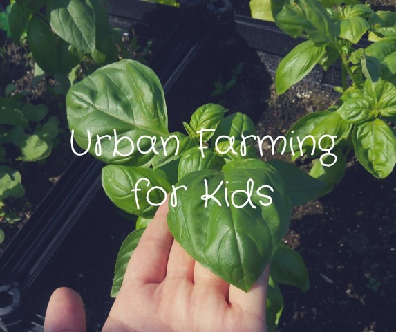 rooftop republic urban farming for kids