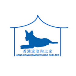 hk homeless dog shelter