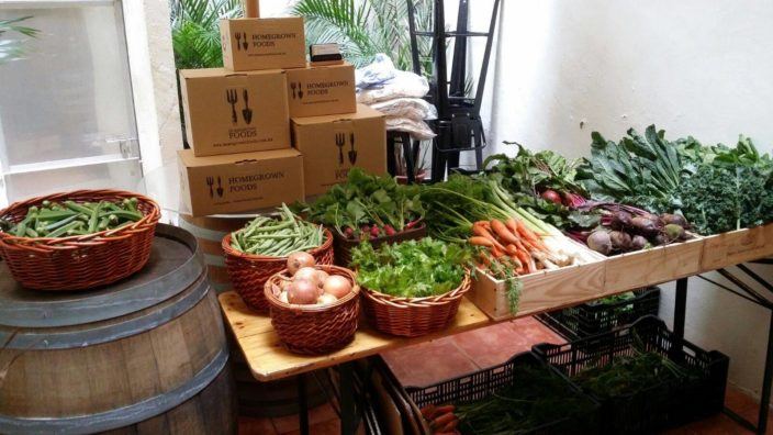 homegrown foods fruit and vegetable delivery