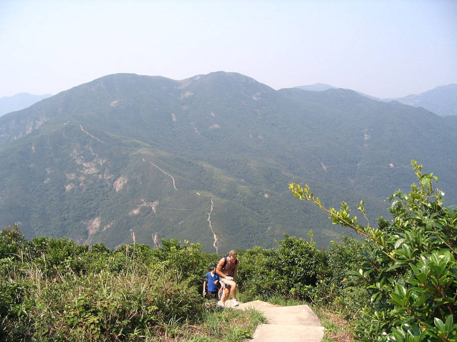 violet hill hike hong kong
