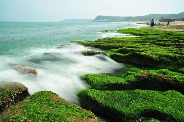 Laomei Green Reef