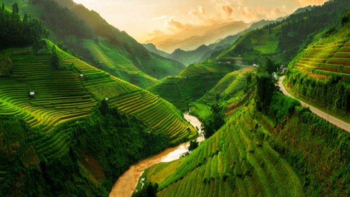 Hills of Vietnam