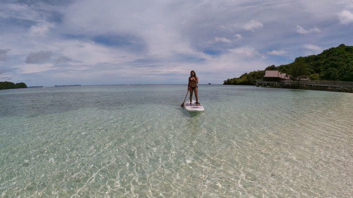 Stand Up PaddleBoards