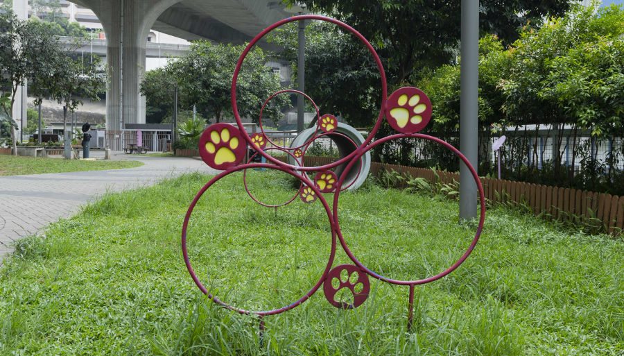playing equipment for dogs in cheung sha wan