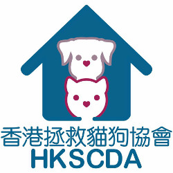 Hong Kong Saving Cats and Dogs