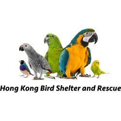 Hong Kong Bird Shelter and Rescue 