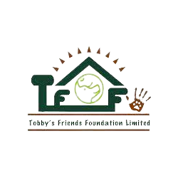 Tobby's Friends Adoption