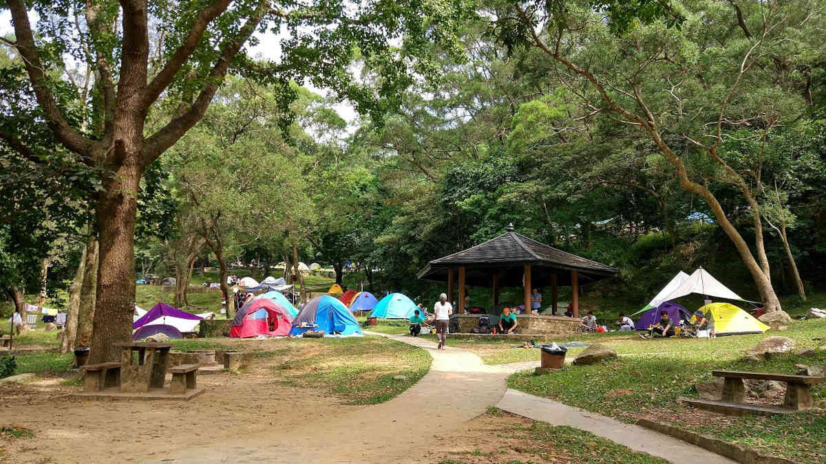 lots of tents at nam shan campsite lantau island