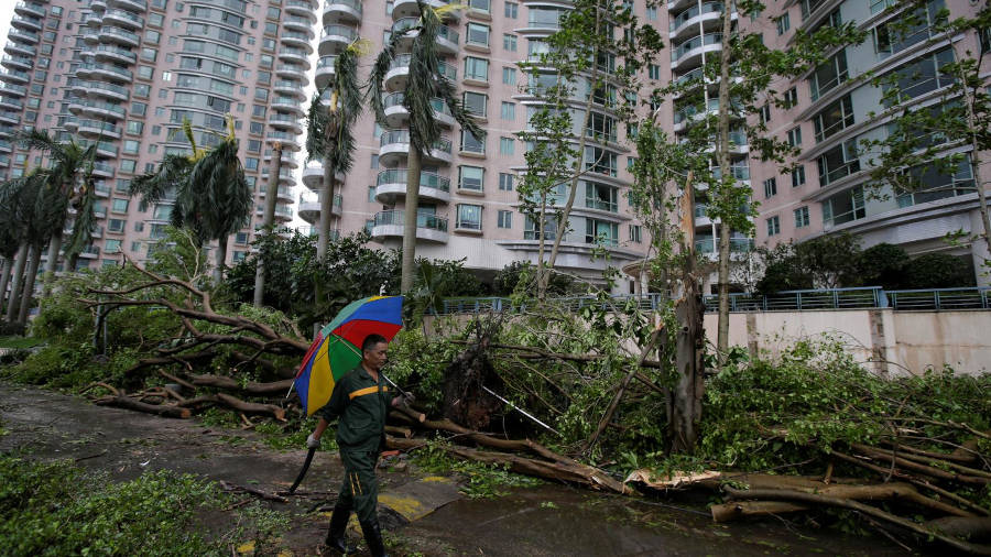 man walking past destroyed trees in hong kong after a typhoon