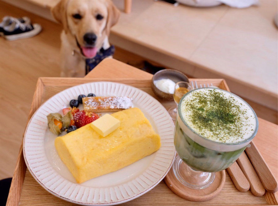 labrador retriever dog at 十常八九 cafe hong kong
