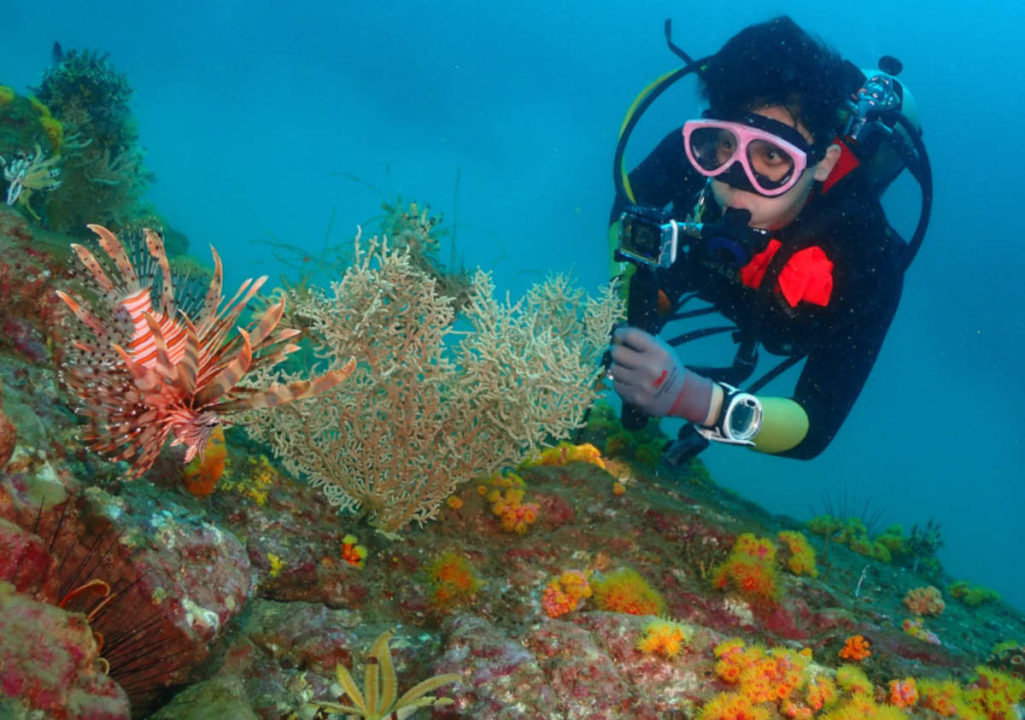 scuba diving to see coral hong kong