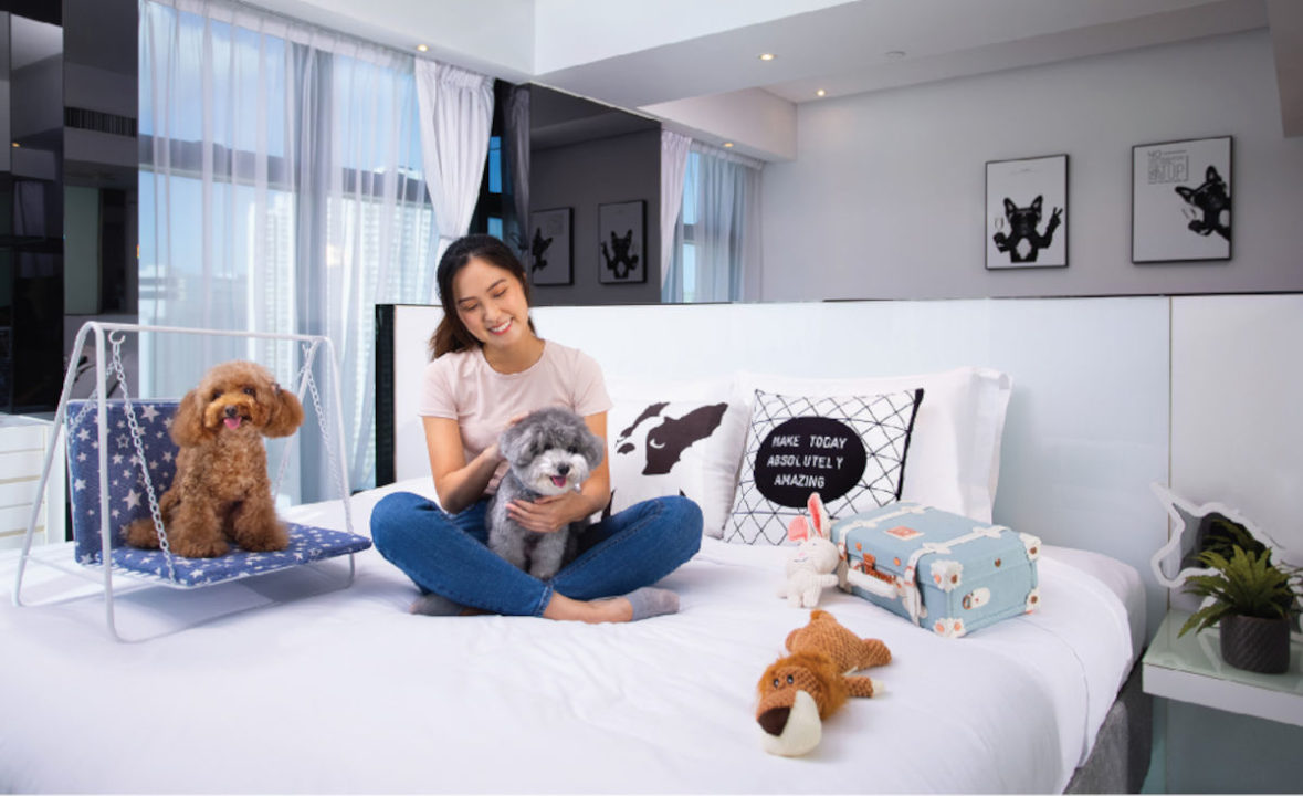 pet mom and dogs at hotel sav hong kong