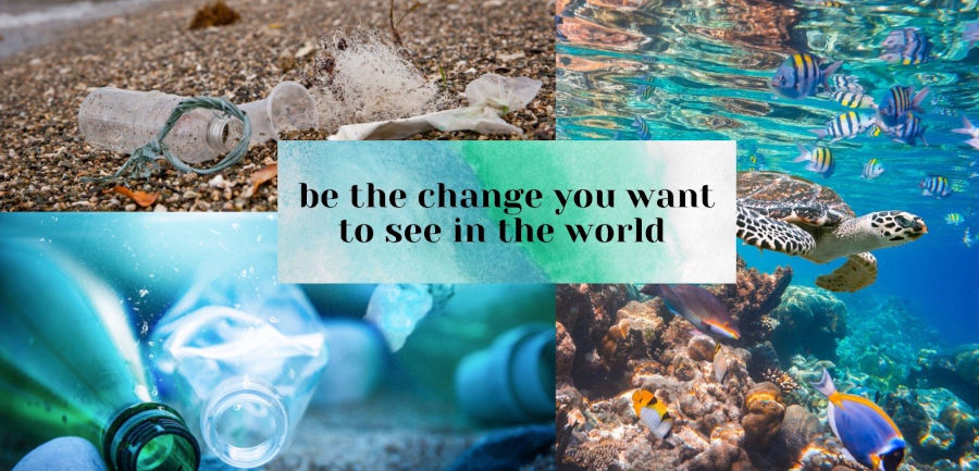 collage of plastic bottles littering ocean and beach