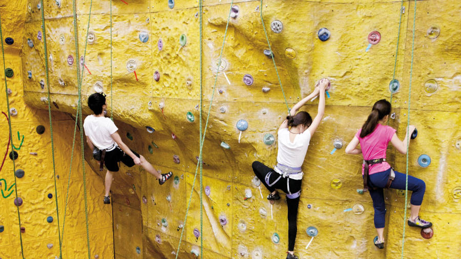 kings park outdoor sport climbing wall