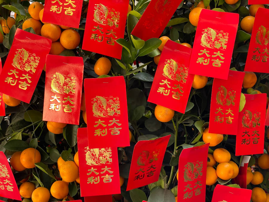 lucky red envelopes on tangerine plant