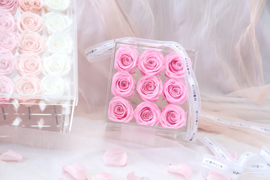 preserved roses in clear case from mohlia flower shop
