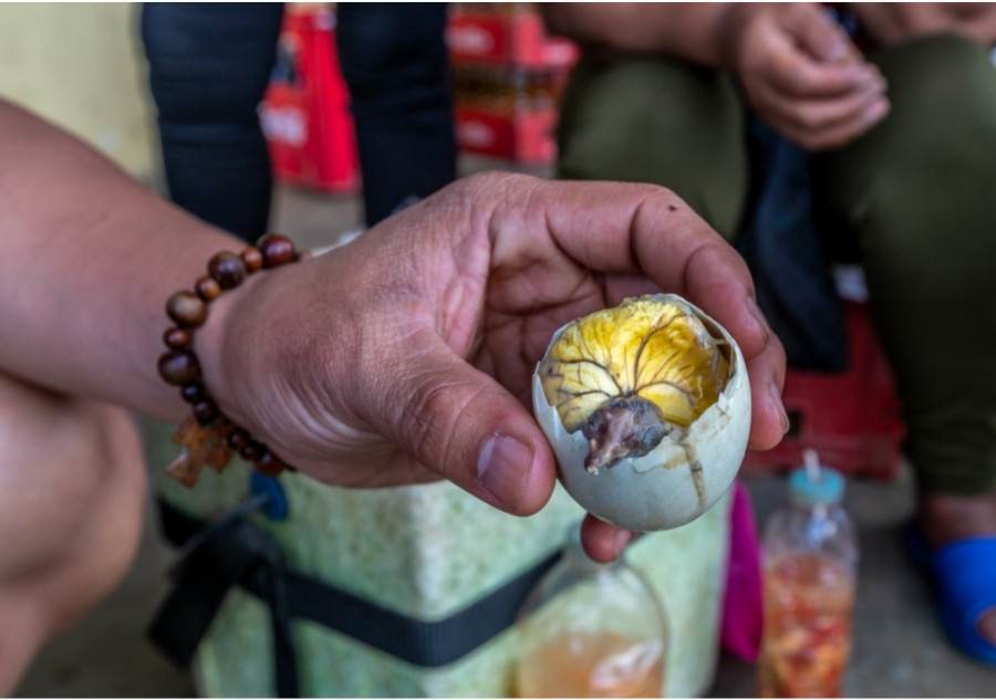 balut from the philippines