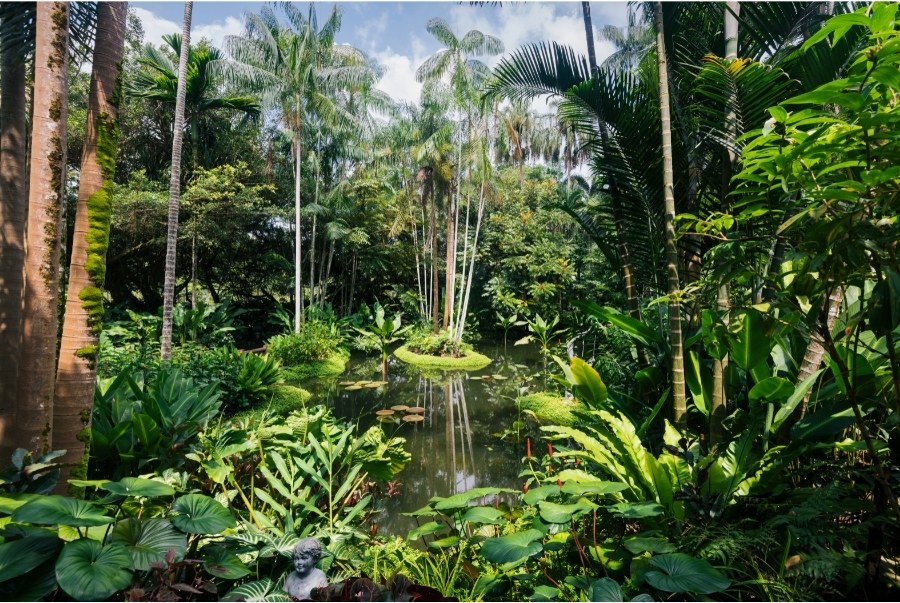 botanic gardens singapore sightseeing