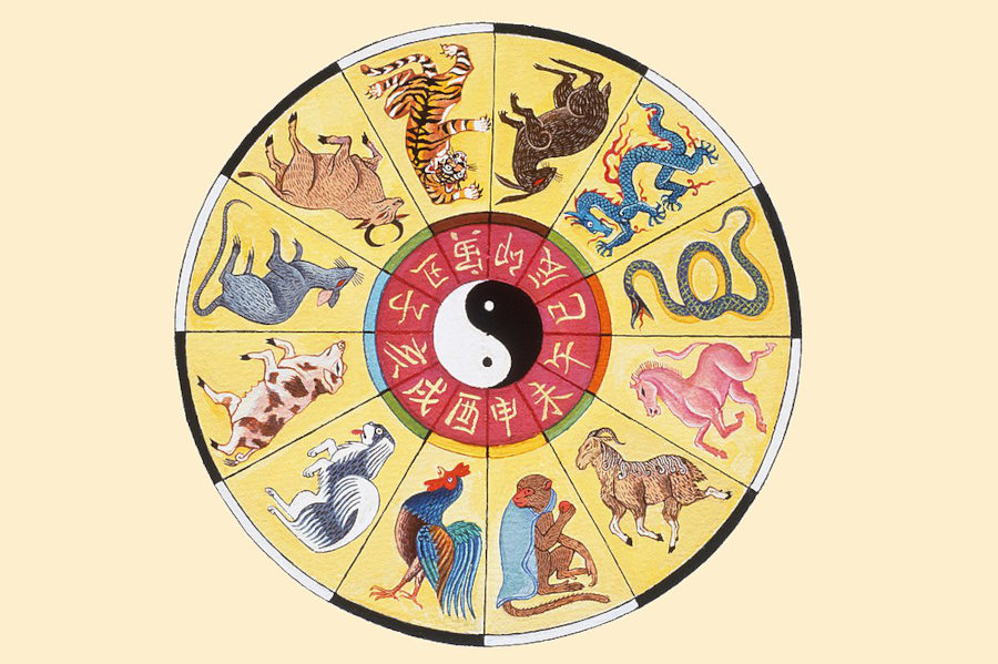 chinese zodiac years represented in wheel illustration