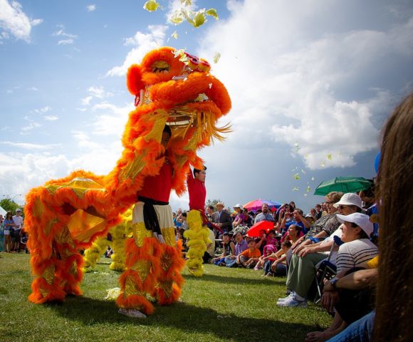lion dancers throw lettuce from the lion's mouth in edmonton