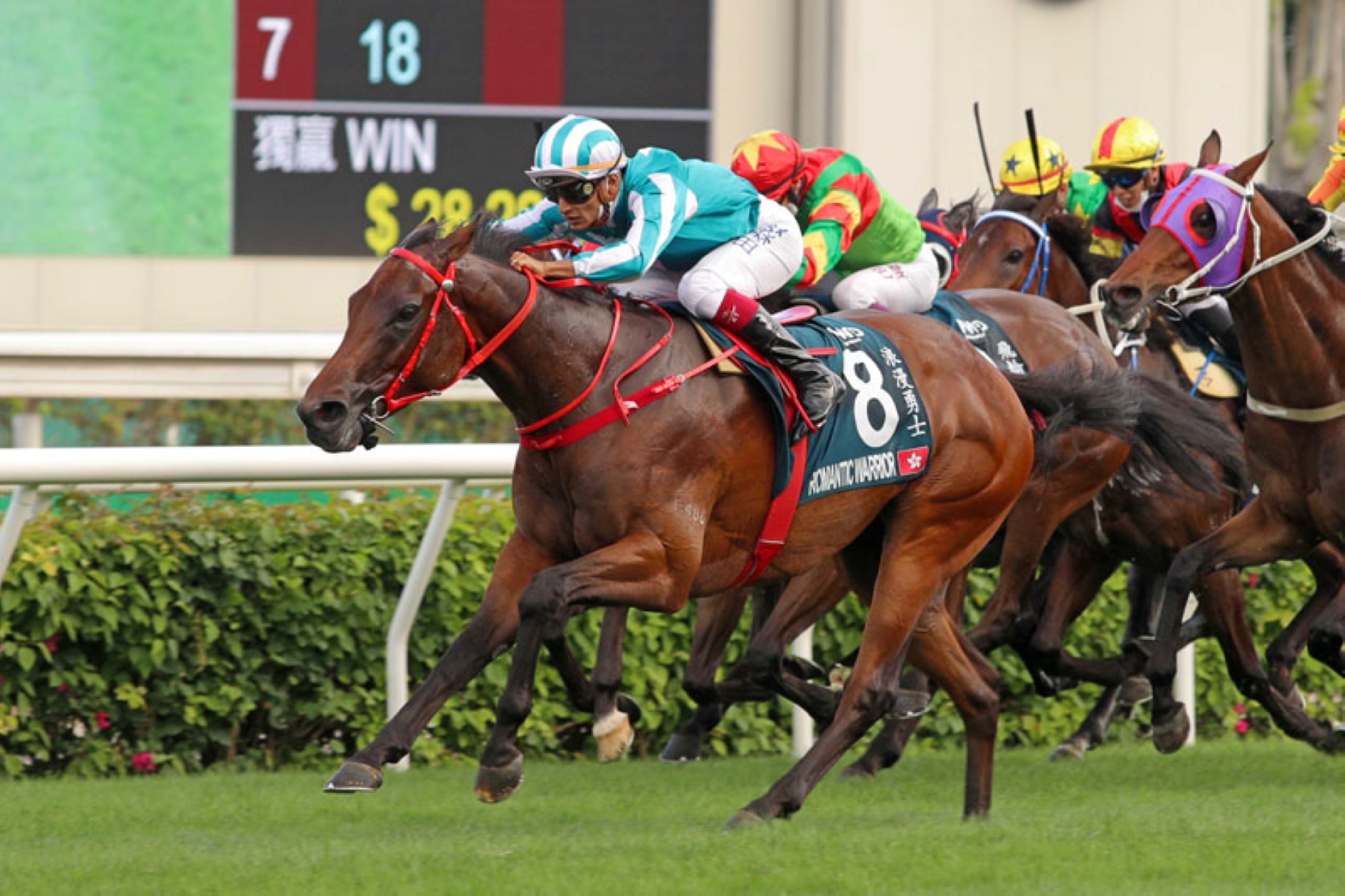 A race at the Queen Elizabeth II Cup at the Sha Tin Racecourse.
