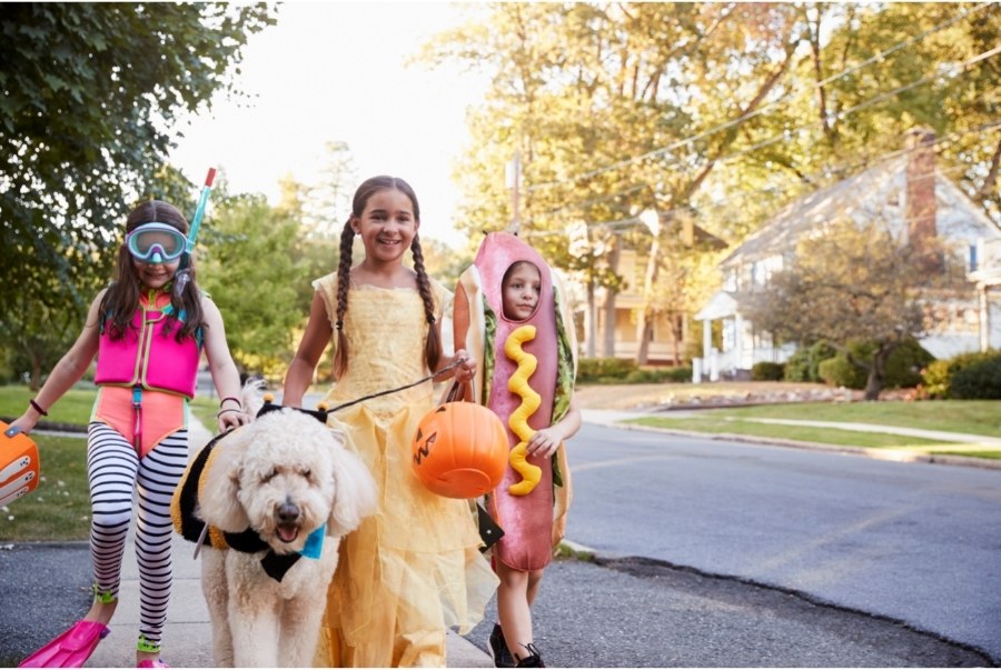 kids and their dog going trick or treating wearing cute halloween costumes