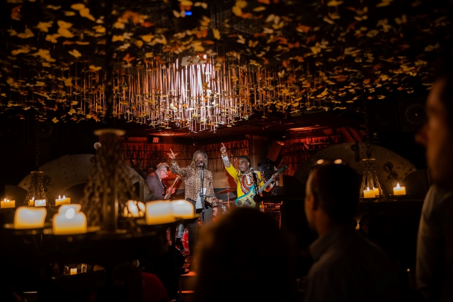 The Iron Fairies band performs under the 10,000 butterflies suspended from the ceiling of the venue.