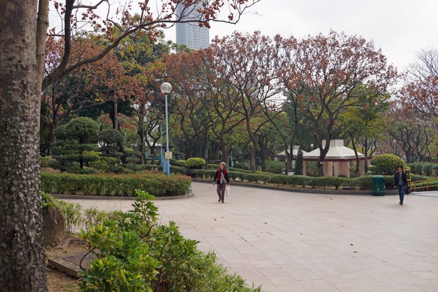 Walkers in the Kowloon Walled City Park looking at the autumn leaves.