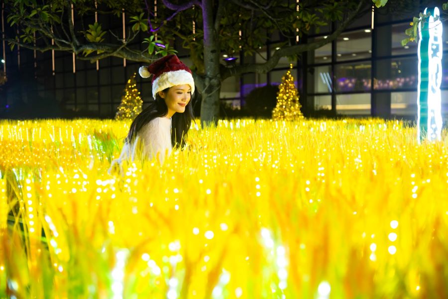 A visitor to New Town Plaza amid the mall’s golden field of lights.Want your Christmas to be lit? New Town Plaza’s Christmas display aims to be just that, with its galaxy-like tunnels comprising one million LED lights, a golden field of lights where you can get some real ’Gram-worthy pics, and a sea of flowers made up of three-metre-high roses. 
18-19 Sha Tin Centre St, Sha Tin, Hong Kong | +852 2608 9329
