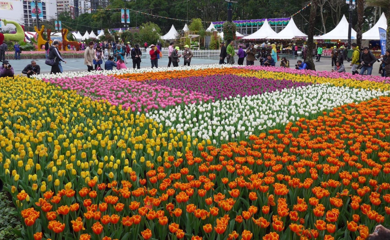 Hong Kong Flower Show