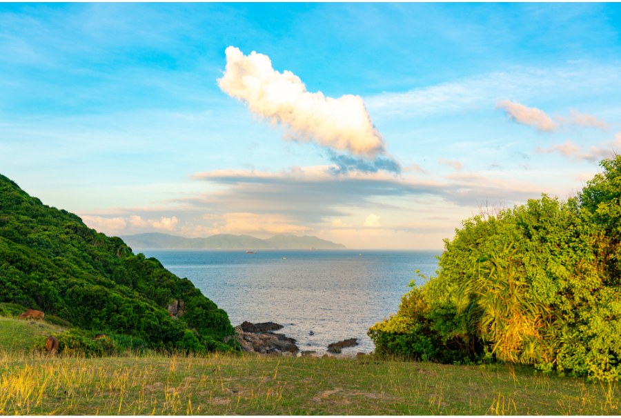 view of the sea and sky from grass island in hong kong
