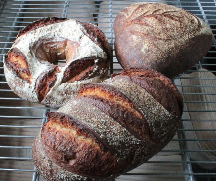 10 Best Bagel Shops To Try In Hong Kong The HK HUB