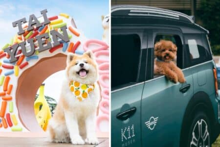 2 New Pet-Friendly Gardens Open In Hong Kong At K11 Musea & Tai Yuen Commercial Centre Two new pet-friendly-gardens open in Hong Kong