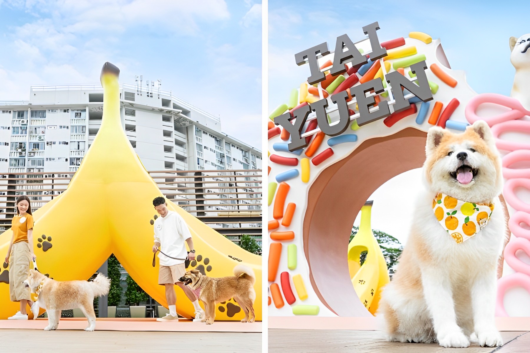 Pets can pose with and play at the banana slide and the rainbow donut at Tai Yuen Commercial Centre's new pet-friendly garden.
