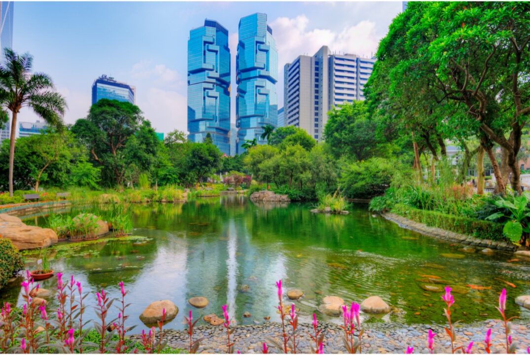 lake overlooked by skyscrapers in hong kong park