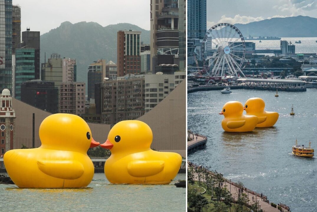 Hong Kong giant rubber ducks Father's Day 2023 sea parade