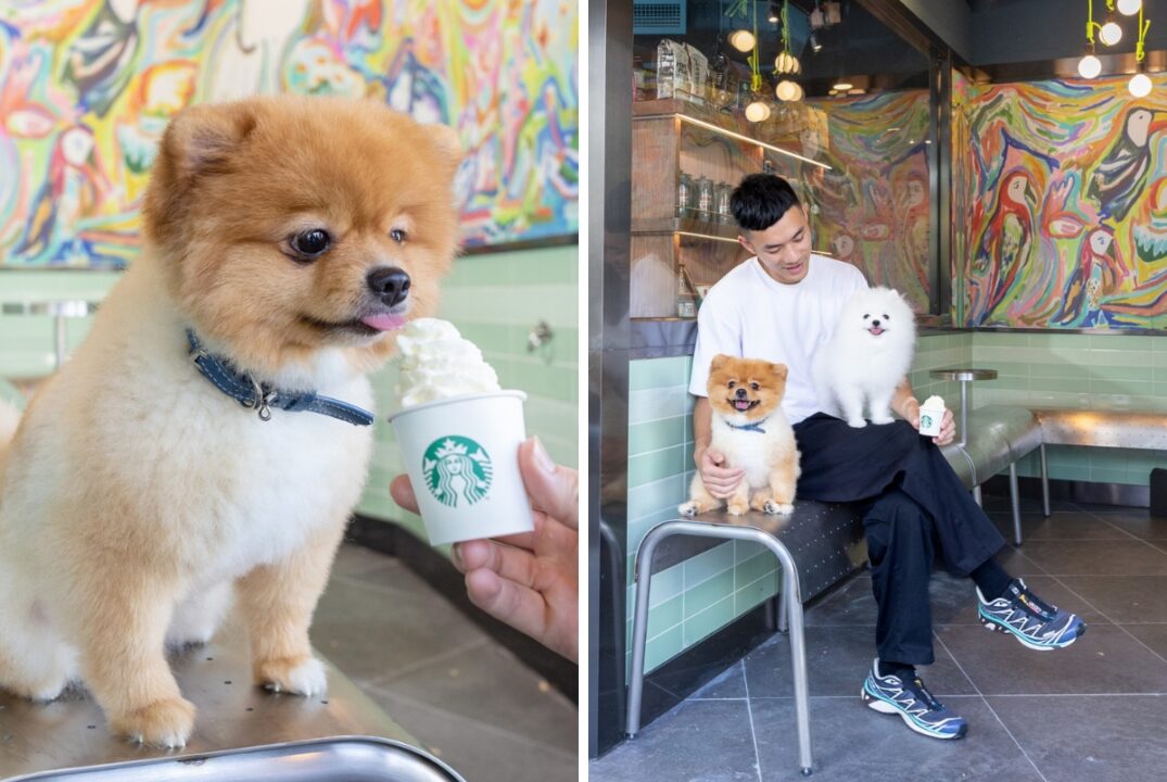 Hong Kong's first pet-friendly Starbucks in Cheung Sha Wan
