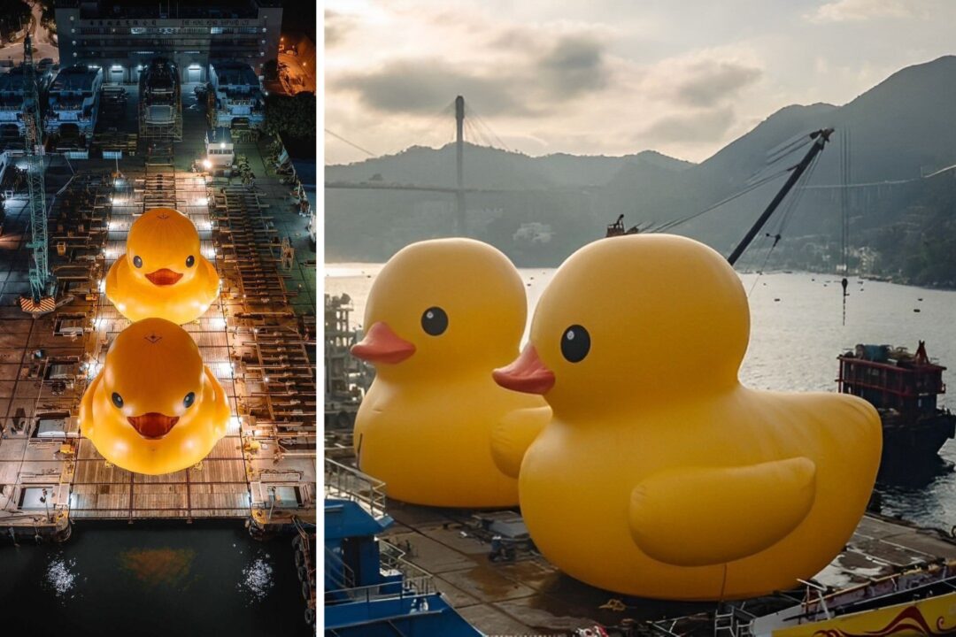 Rubber Duck Project returns to Hong Kong on June 10 2023