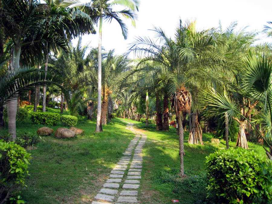 stone path in a wooded garden in tsing yi park hong kong