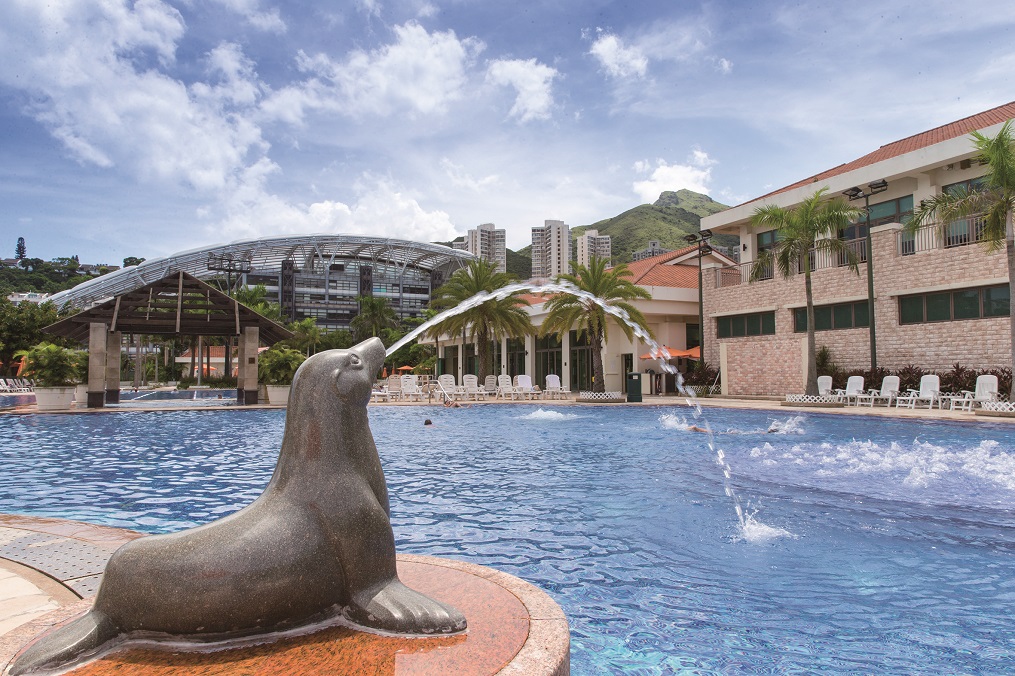 A fountain in the shape of a seal spouts water into the pool at Club Siena. There are people doing laps in the pool. In the background are lounge chaises, the club building and Discovery Bay College.