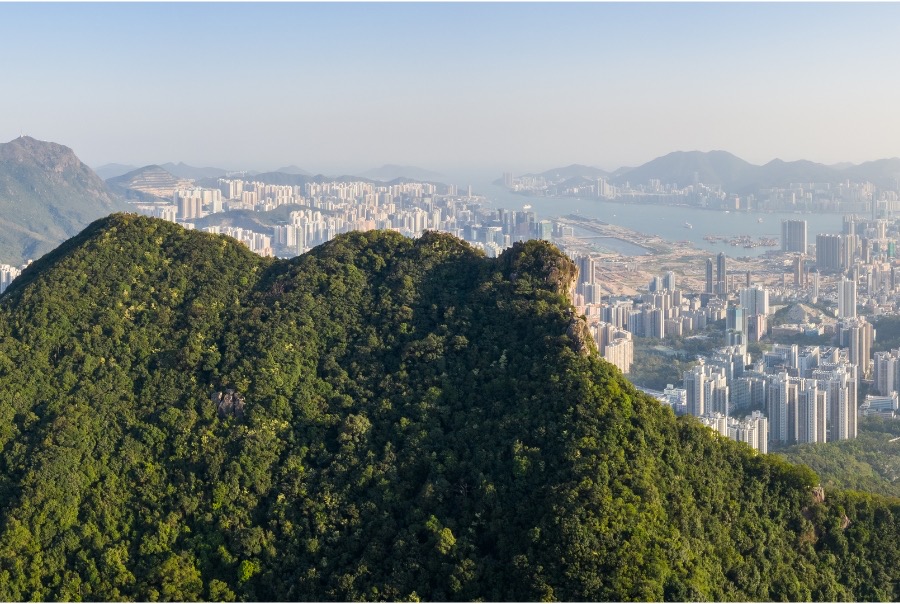A rear view of the forested Lion Rock, with the buildings and streets of Kowloon in the background.