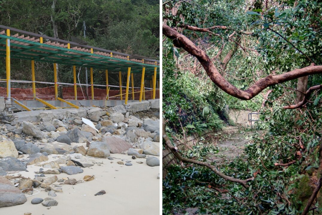 a collage showing damage to hong kong after a typhoon. the image on the left shows a beach and the image on the right shows fallen trees across a trail.