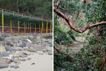 Hong Kong Beaches & Hiking Trails Closed Indefinitely After Record-Breaking Rainfall a collage showing damage to hong kong after a typhoon. the image on the left shows a beach and the image on the right shows fallen trees across a trail.