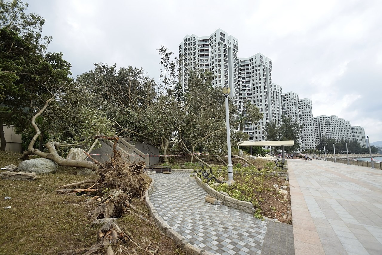 Fallen trees near a waterfront housing estate waterfront in Heng Fa Chuen.