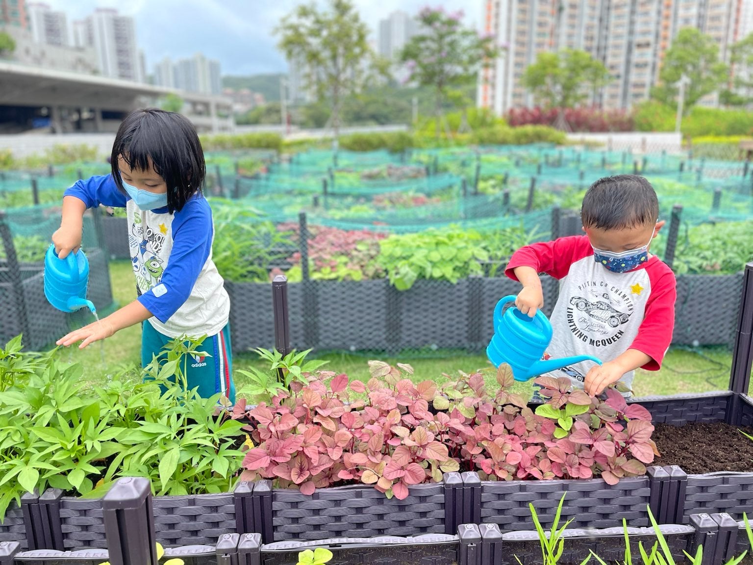 two children working at HKFYG organic farm