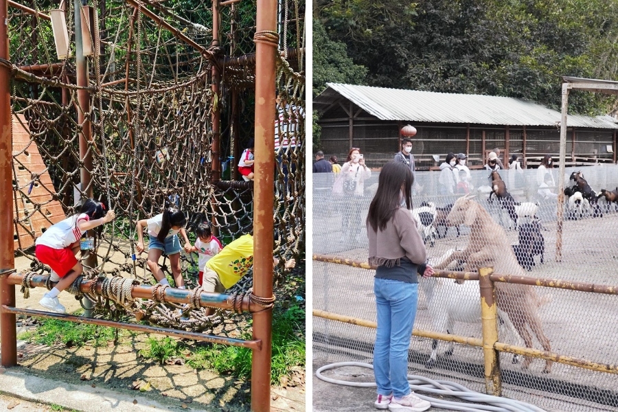 play area and petting zoo at tai tong organic ecopark