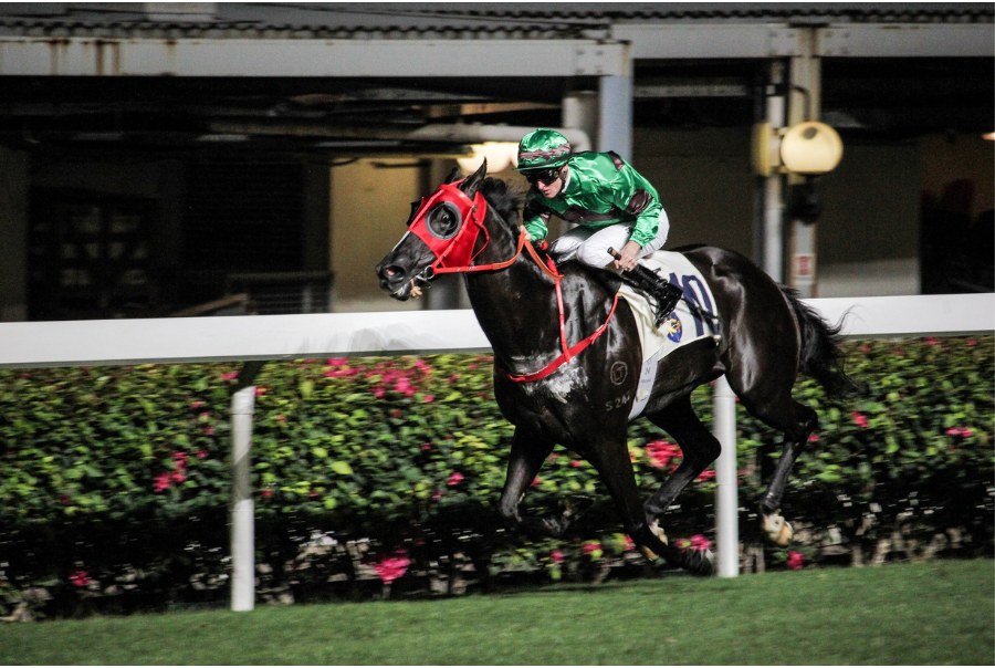 horse racing at the happy valley racecourse