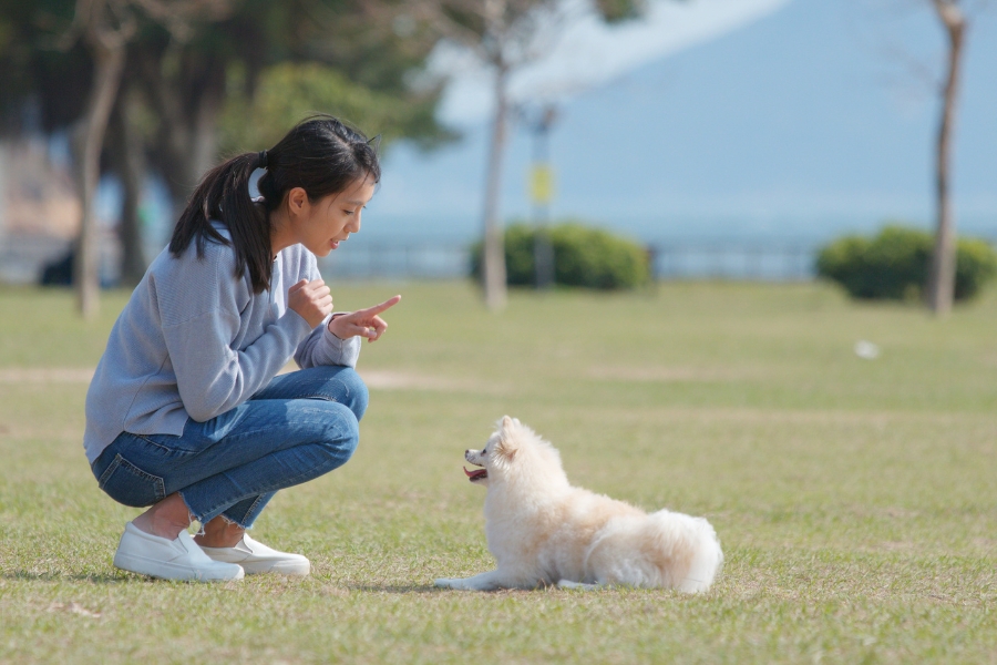 woman and dog in park