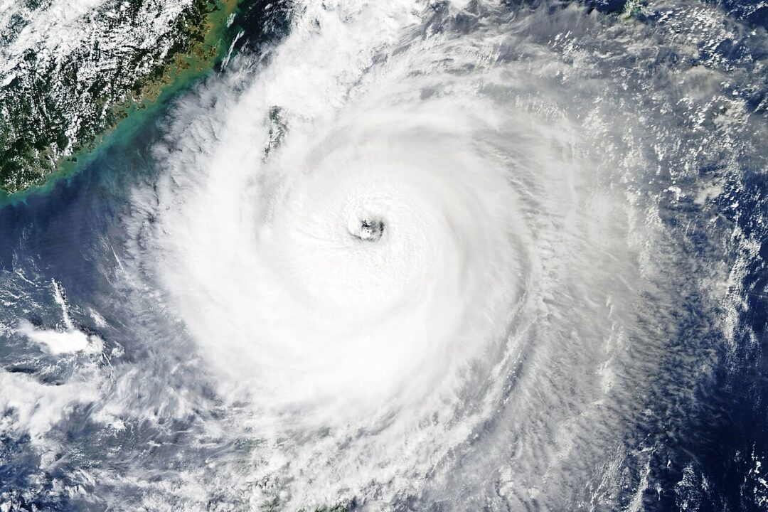 typhoon koinu satellite image
