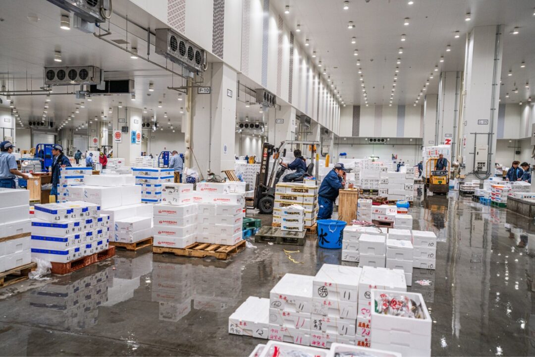 japan fish market